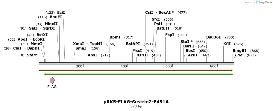 140933_map