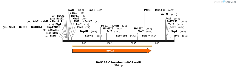 140940_map