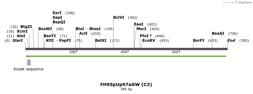 140942_map