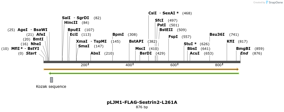 140943_map