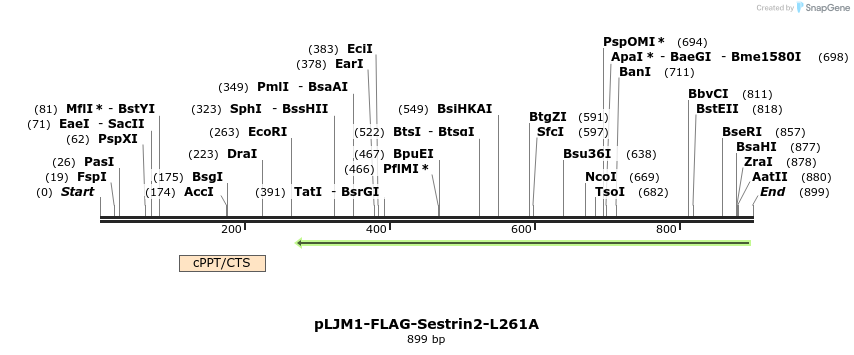 140944_map