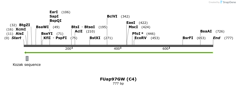 140945_map