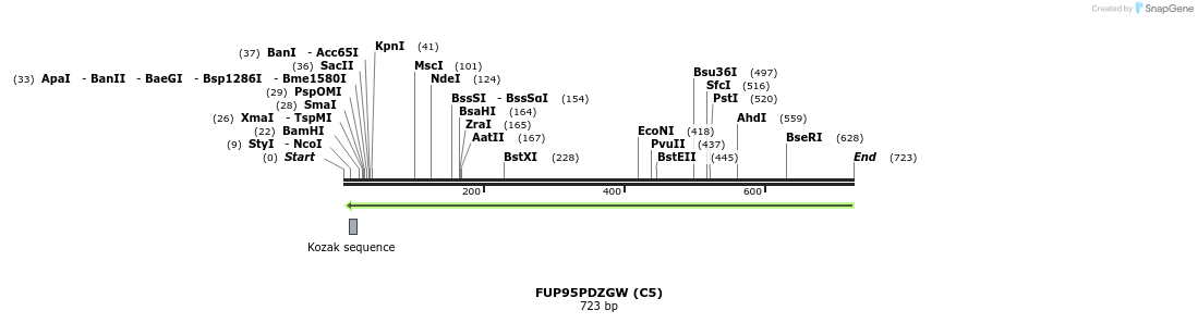 140946_map