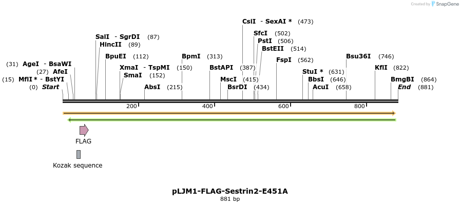 140947_map