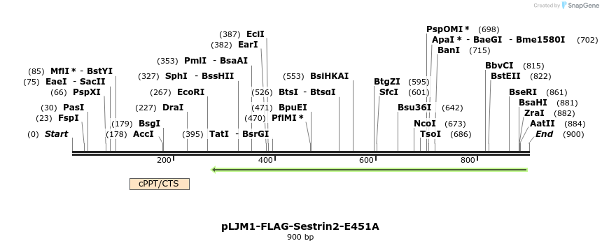 140949_map
