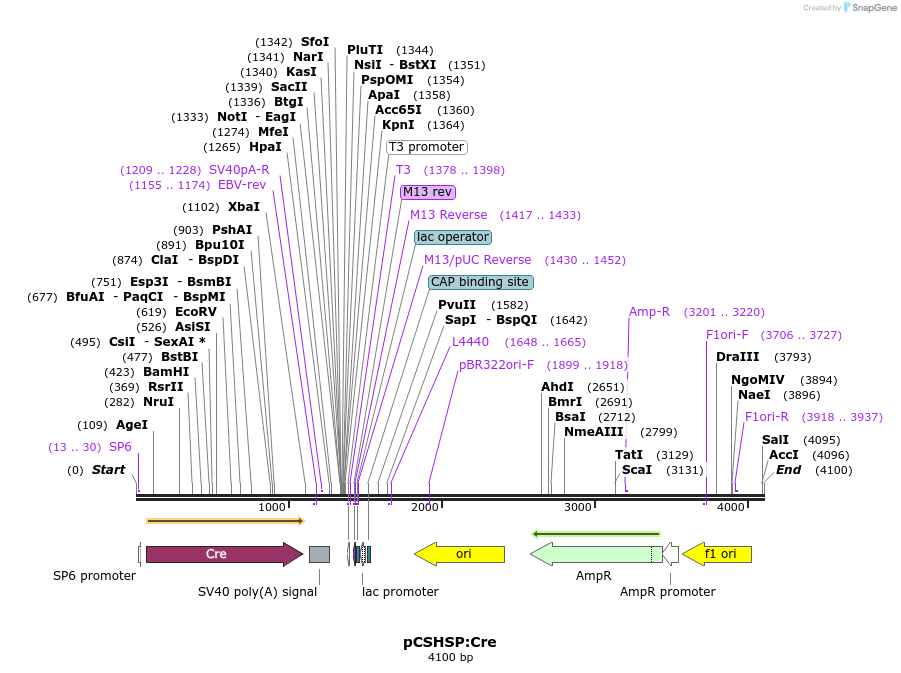 14095_map