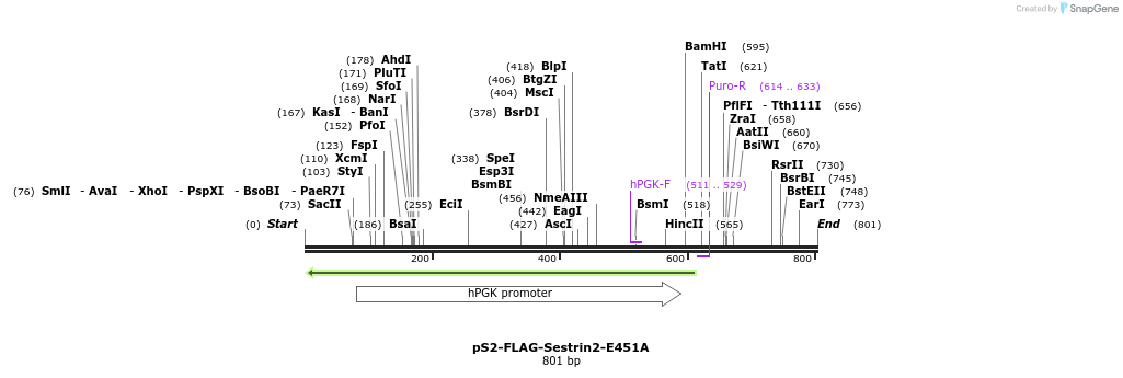 140958_map
