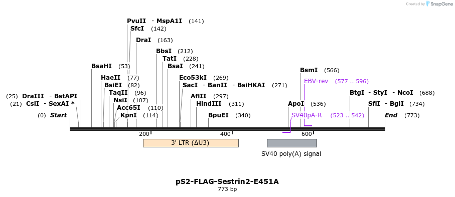 140960_map