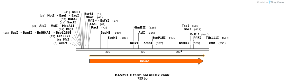 140961_map