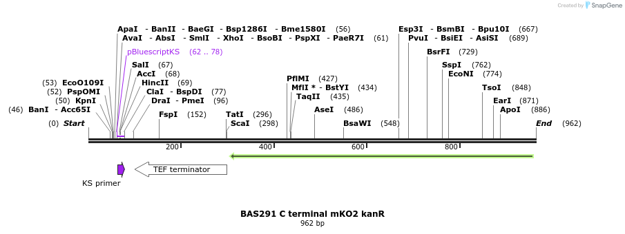 140962_map