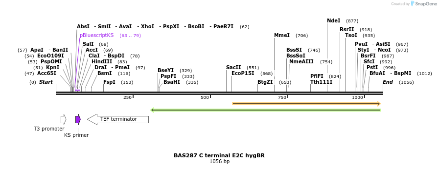 140963_map