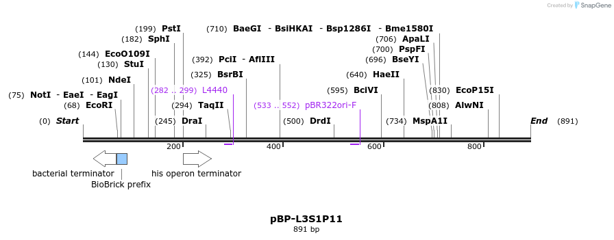 140971_map