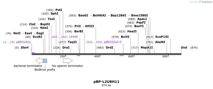 140972_map