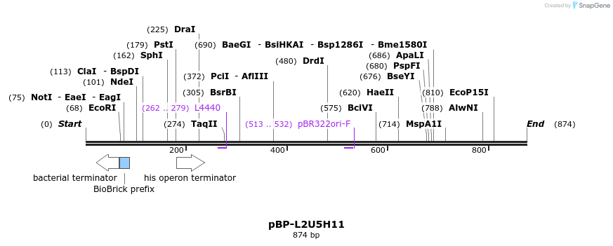 140973_map