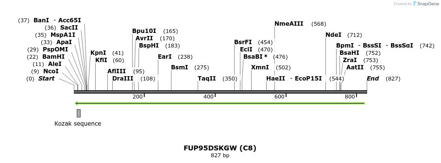 140974_map
