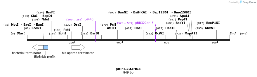 140976_map
