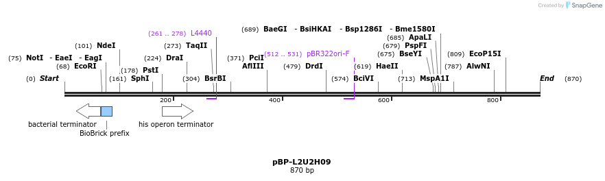 140977_map