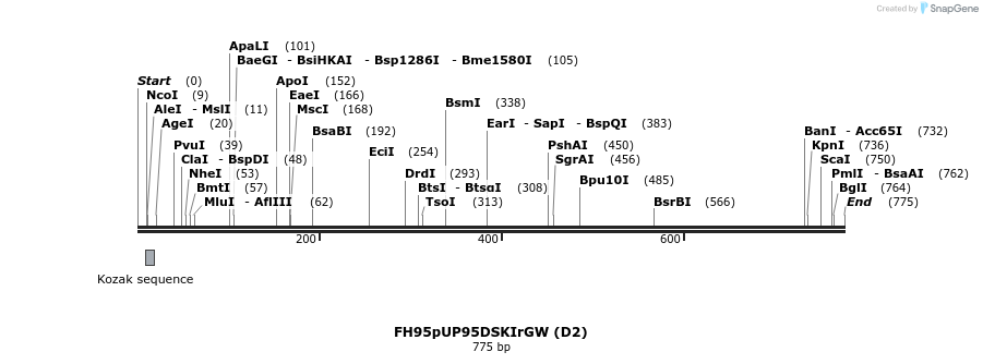 140980_map