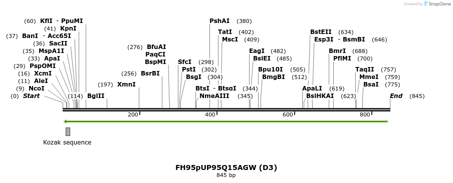140983_map