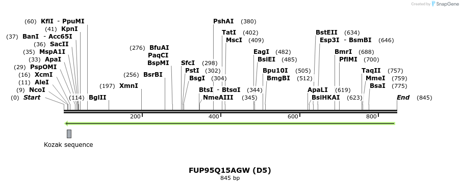 140985_map