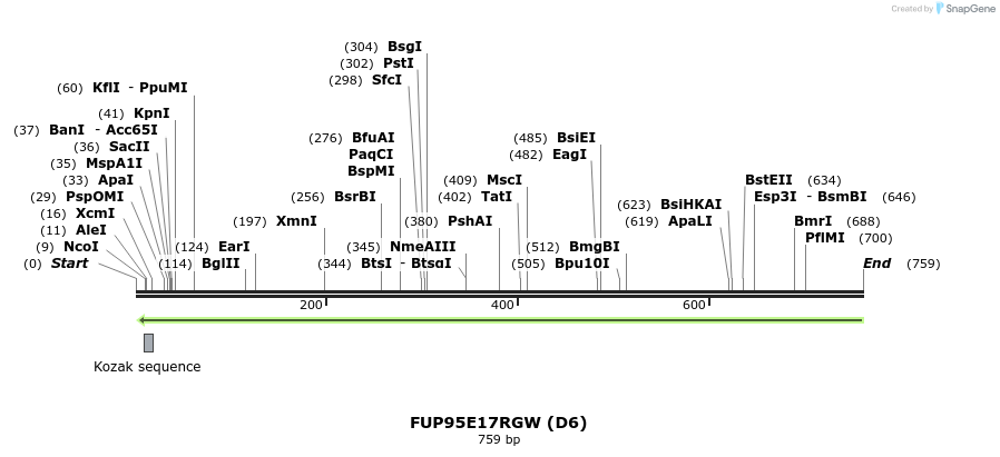 140989_map
