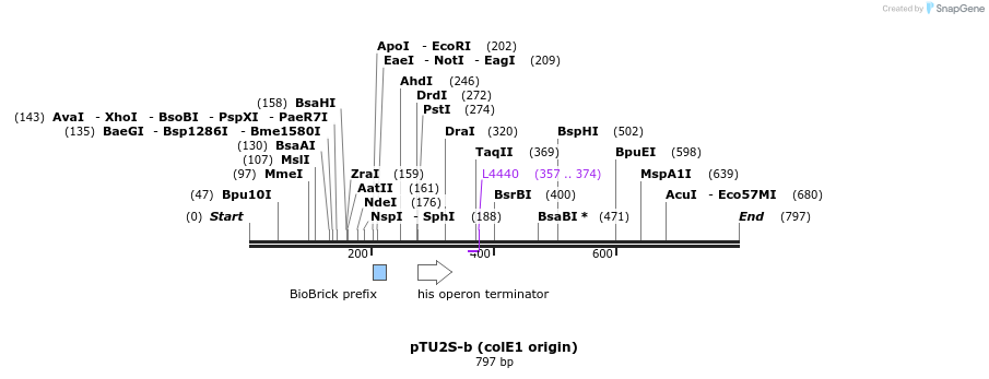 140995_map