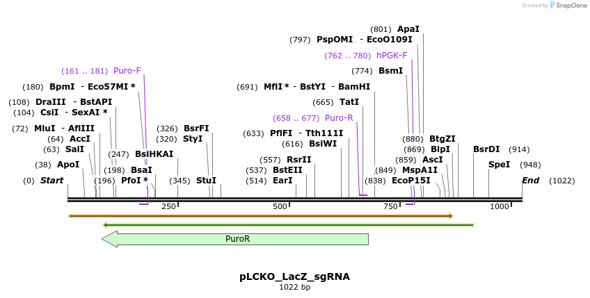 141005_map