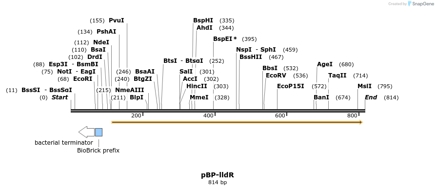 141007_map