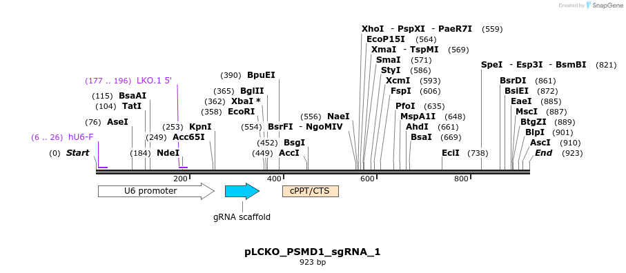 141009_map