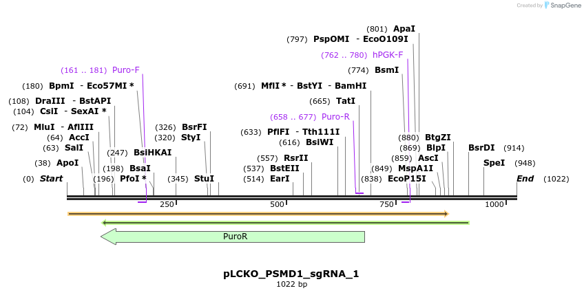 141010_map