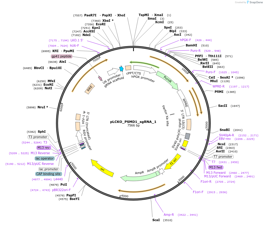 141011_map