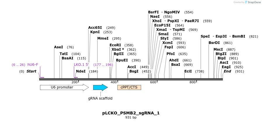 141013_map