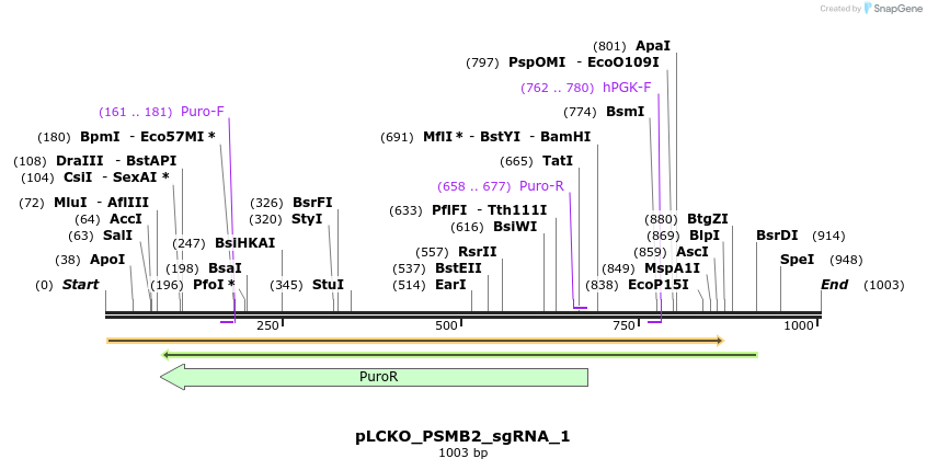 141015_map
