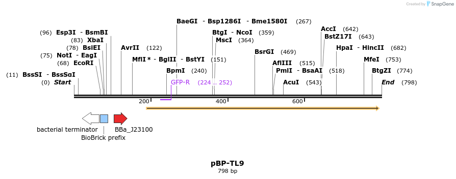 141018_map