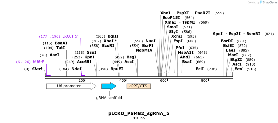 141019_map
