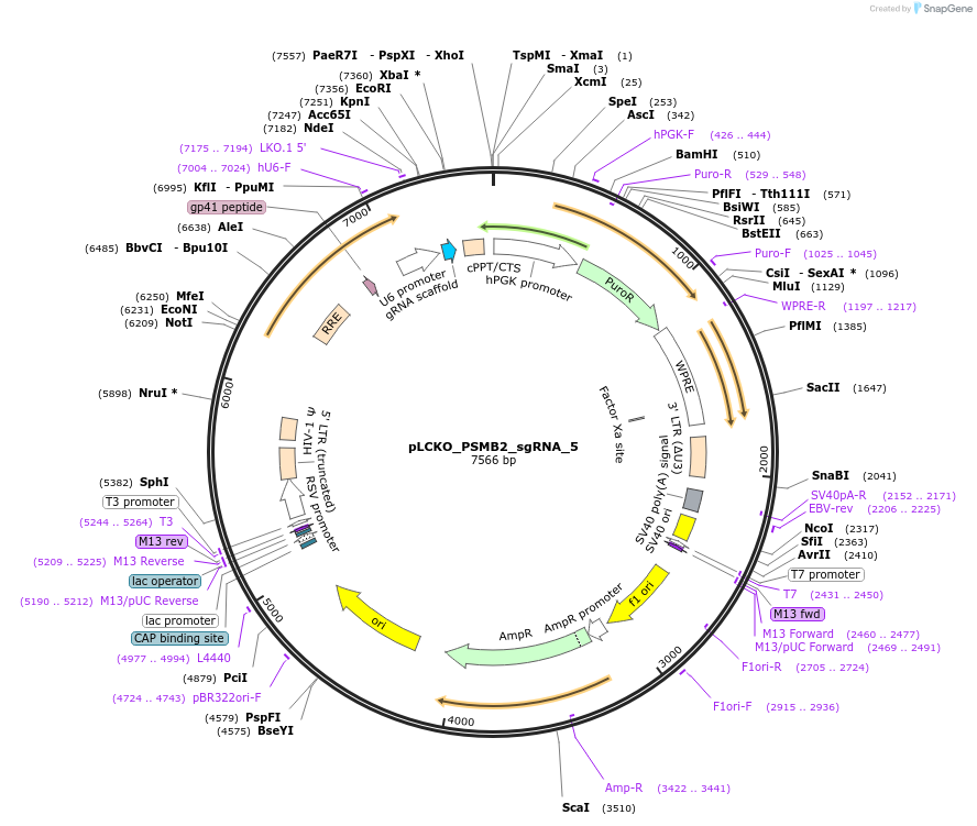 141021_map