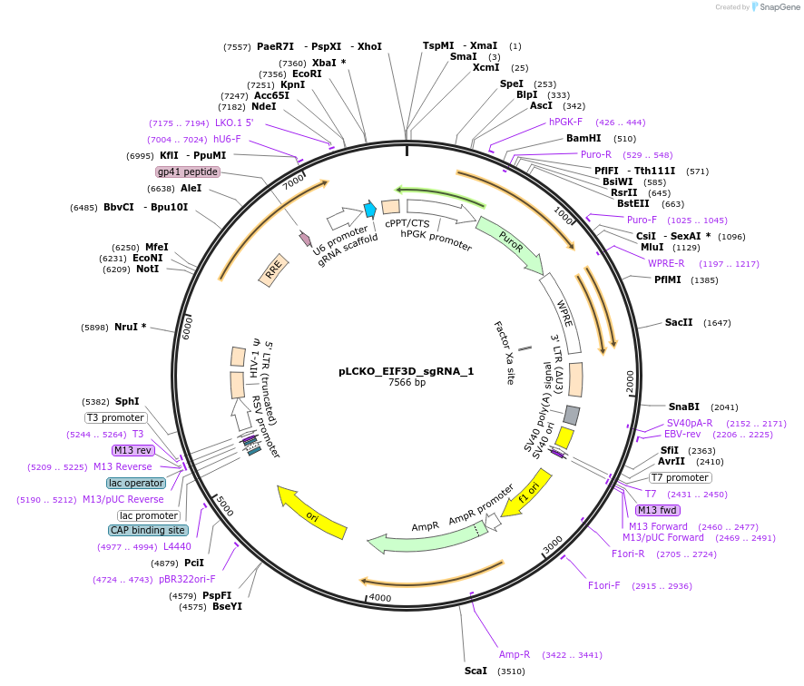 141026_map