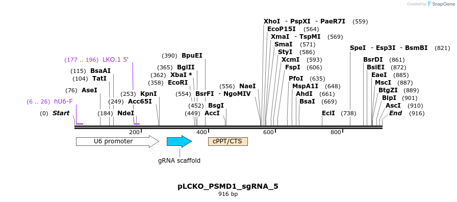 141030_map