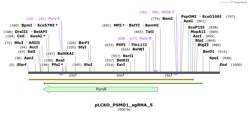 141031_map