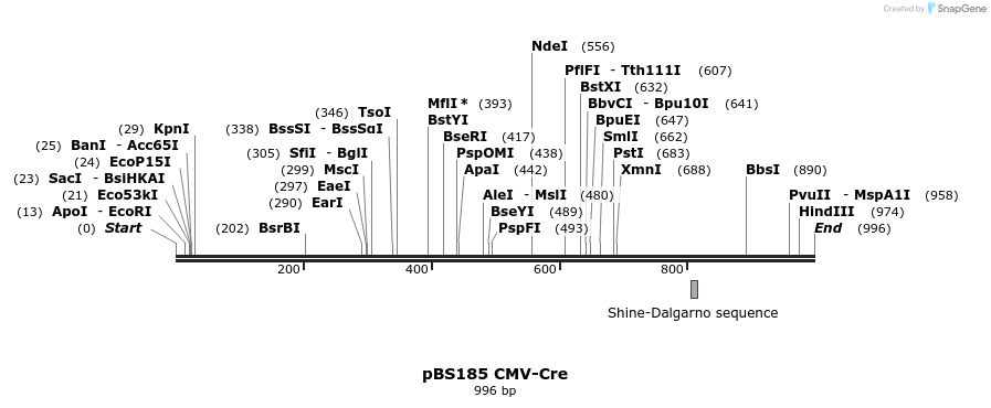 141034_map