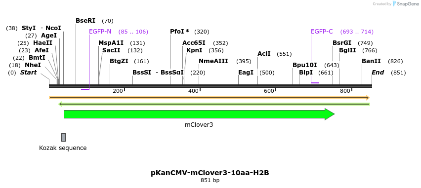 141035_map