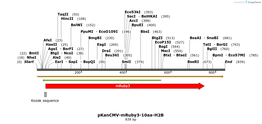 141036_map