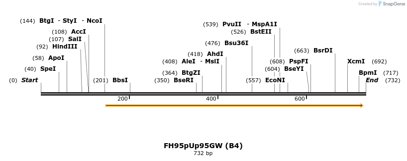 141038_map