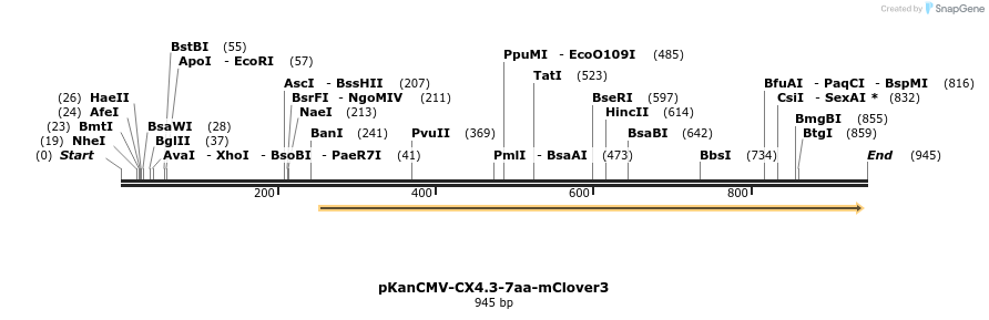 141039_map