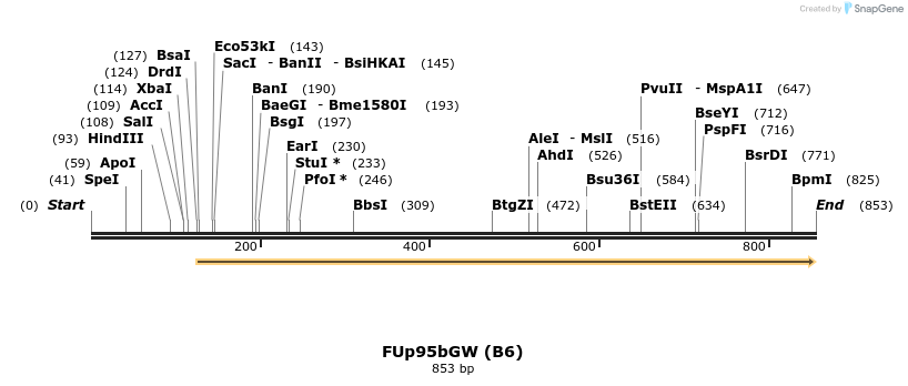141040_map