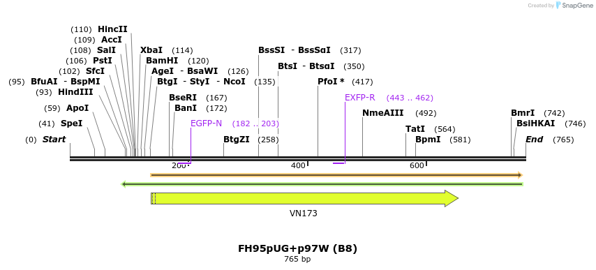 141041_map