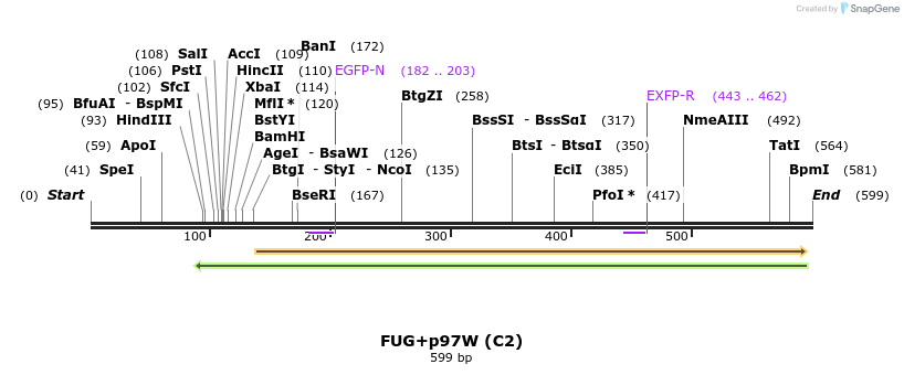 141042_map