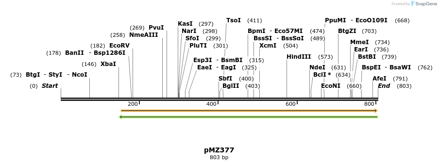 141043_map