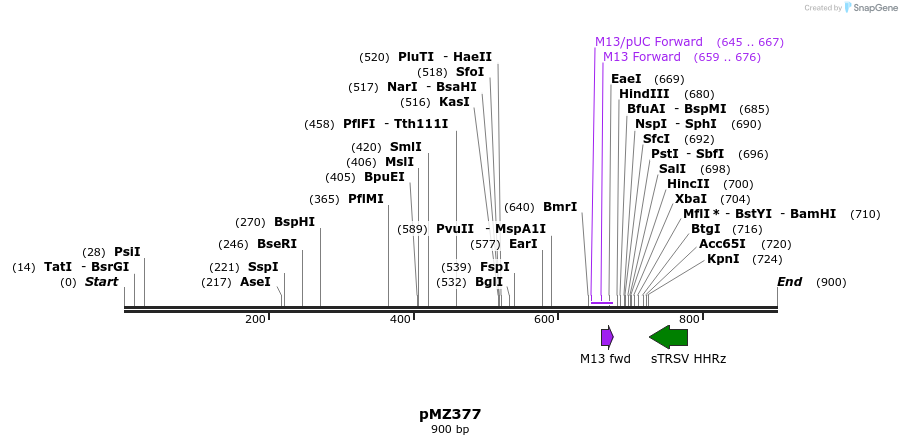 141044_map