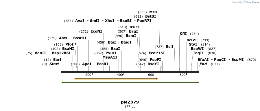 141046_map